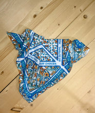 Load image into Gallery viewer, Swirly poppies, bugs abd slogan ICE BANDANA