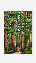 Load image into Gallery viewer, Redwood National Park 4x6 premium Post Card