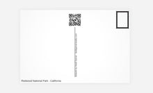 Load image into Gallery viewer, Redwood National Park 4x6 premium Post Card