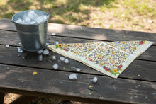 Load image into Gallery viewer, Western States Trail Repeat Pattern Lined ICE BANDANA