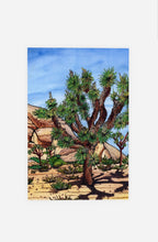 Load image into Gallery viewer, Joshua tree National Park - 4x6 premium Post Card