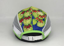 Load image into Gallery viewer, Prickly Pear Boco Ventilator Mesh Run Cap