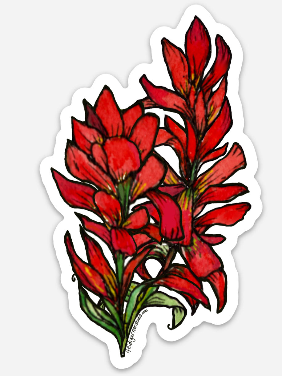 Indian Paintbrush 4.5x2.75 inch sticker