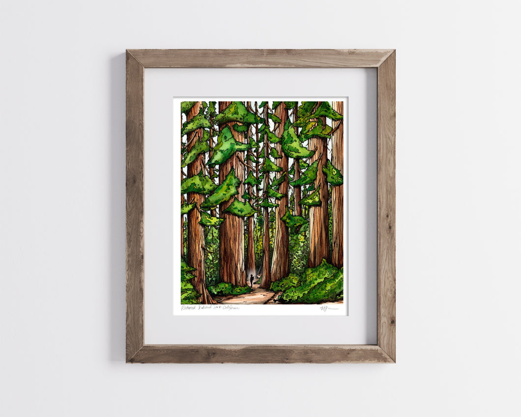 Redwood National Park Bordered Print- Archival Matte Paper- Hand Titled and Signed
