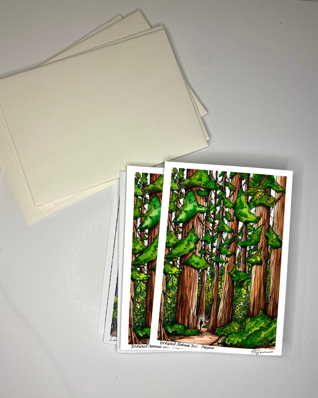 Redwood Tree 5x7 greeting card